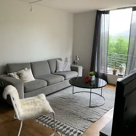 Apartment With Walking Distance To The Light Rail Bergen